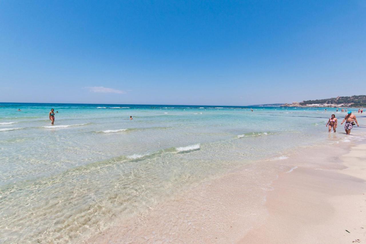 Delfino - Ampio Appartamento A 40 Metri Dalla Spiaggia Lido Conchiglia Экстерьер фото