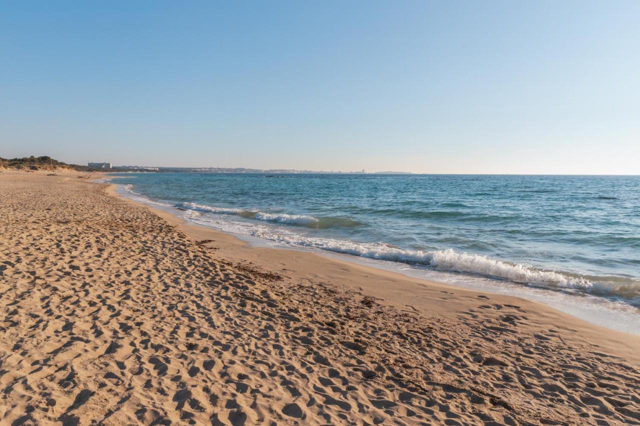 Delfino - Ampio Appartamento A 40 Metri Dalla Spiaggia Lido Conchiglia Экстерьер фото